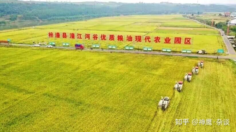 神农米业粮油