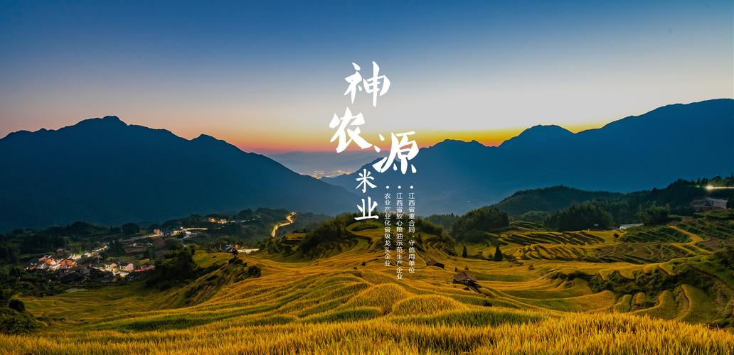 神农米业粮油