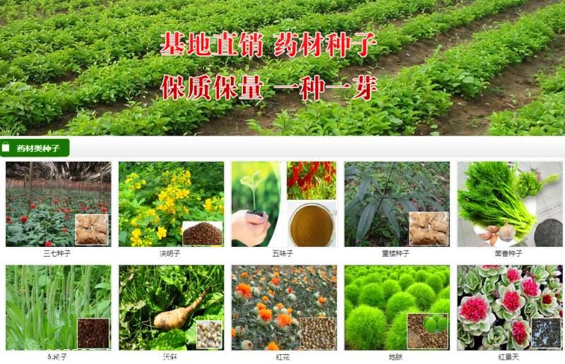 农作物种子销售